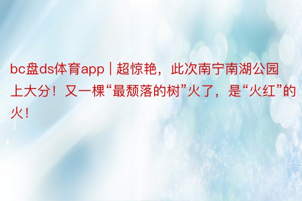 bc盘ds体育app | 超惊艳，此次南宁南湖公园上大分！又一棵“最颓落的树”火了，是“火红”的火！