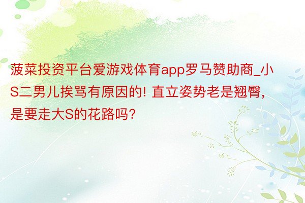 菠菜投资平台爱游戏体育app罗马赞助商_小S二男儿挨骂有原因的! 直立姿势老是翘臀, 是要走大S的花路吗?