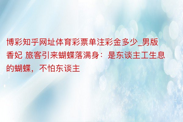 博彩知乎网址体育彩票单注彩金多少_男版香妃 旅客引来蝴蝶落满身：是东谈主工生息的蝴蝶，不怕东谈主